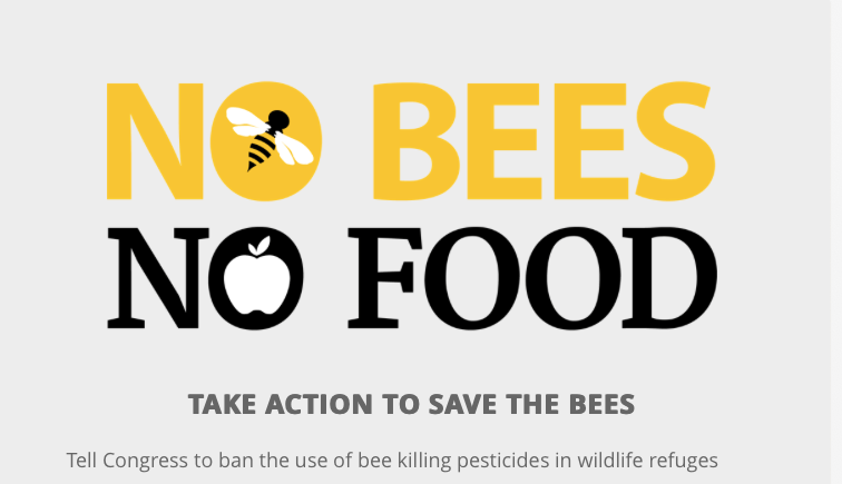 Screen Shot 2019-07-01 at 5.01.05 PM